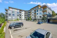 View 29