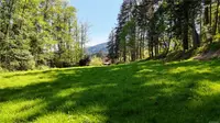 View 25