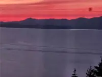View 84