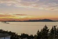 View 50