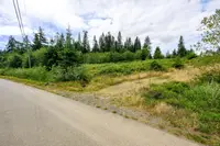 View 16