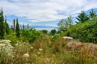 View 22