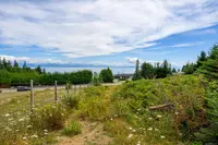 View 21