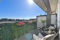 View 13