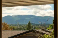 View 55