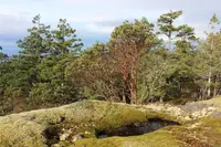 View 16