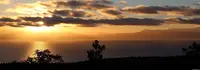 View 24