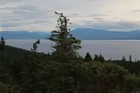 View 14