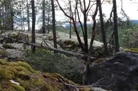 View 18