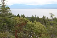 View 15