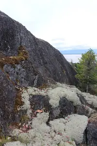 View 19