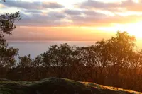 View 4