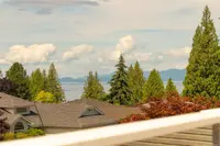 View 41