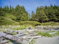 View 24
