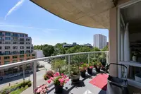 View 5