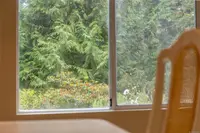 View 15