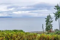 View 31