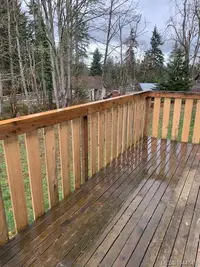 View 15