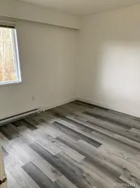 View 19