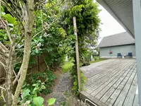 View 41