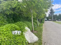 View 45
