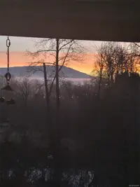View 46