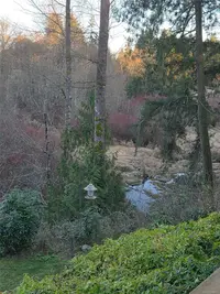 View 43