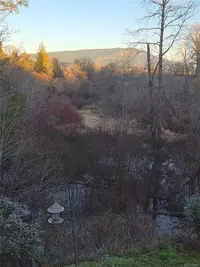 View 45