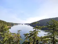 View 42