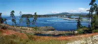 View 5