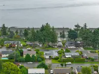 View 51