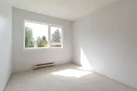 View 29