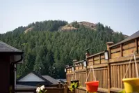 View 37
