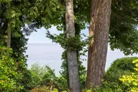 View 56