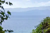 View 49