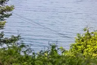 View 51