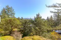 View 43