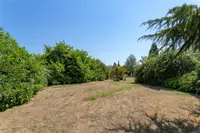 View 14