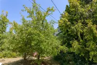 View 18