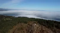 View 55