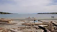 View 58