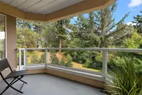 View 23