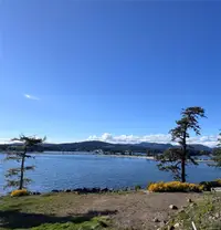View 5