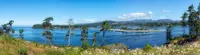 View 15