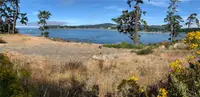 View 4
