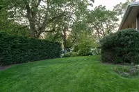 View 60
