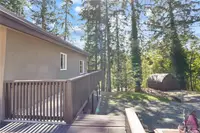 View 31