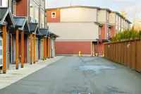 View 50