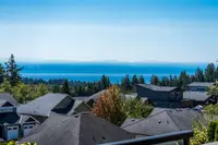 View 51
