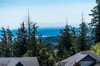 View 50